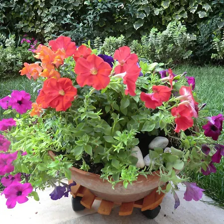 Il Giardino Di Alisa Bed & Breakfast Tivoli