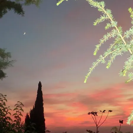 Il Giardino Di Alisa 3*